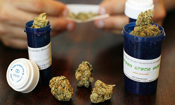 weed