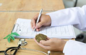Medicine doctor hand hold and offer to patient medical marijuana in jar. Cannabis recipe for personal use, legal light drugs prescribe, alternative remedy or medication, folk medicine concept