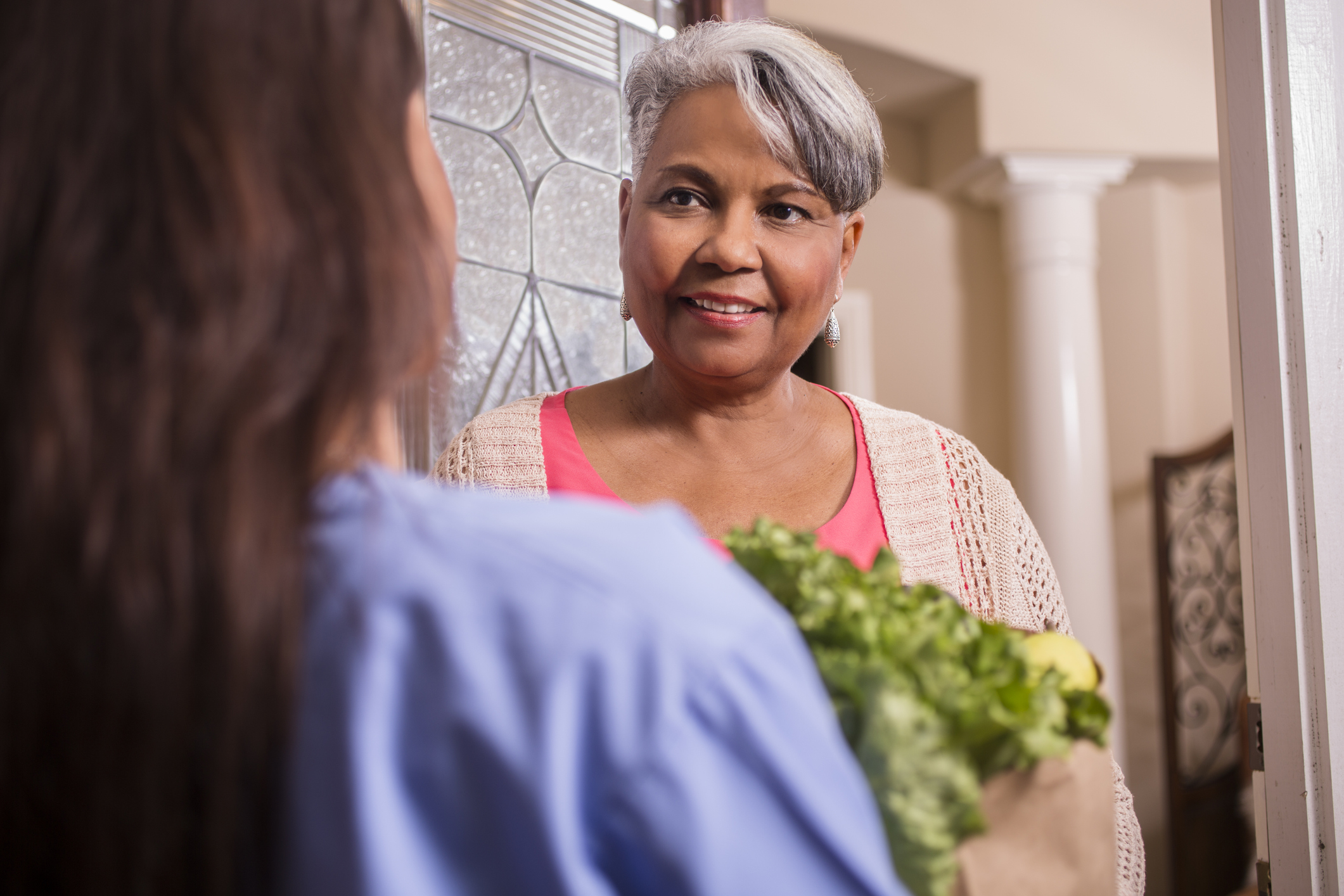 Volunteerism: Woman delivers groceries to senior adult woman at home.