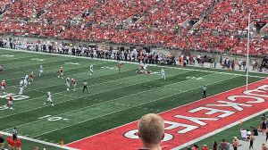 The Ohio State University The Shoe Buckeyes