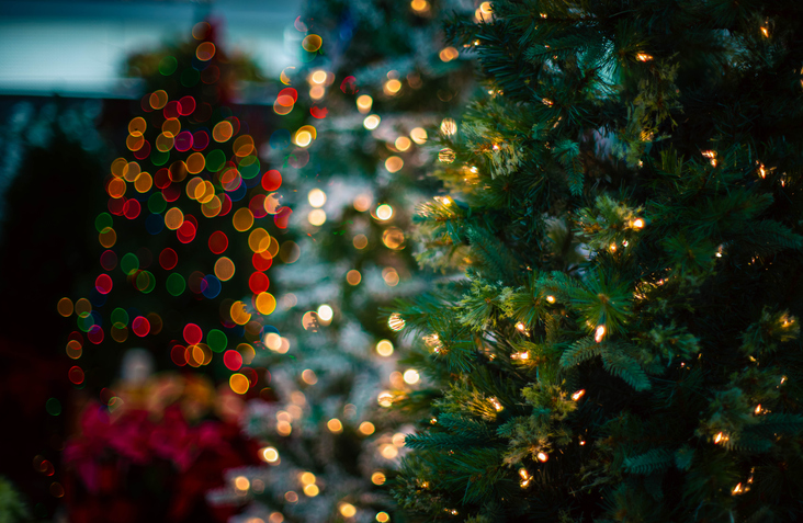 Christmas tree with lights in Columbus